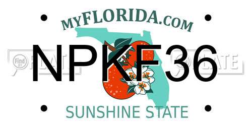 NPKF36 Florida License Plate