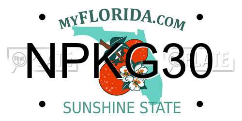 NPKG30 Florida License Plate