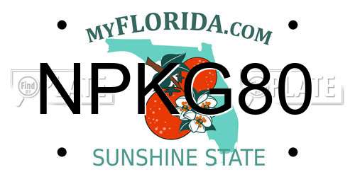 NPKG80 Florida License Plate