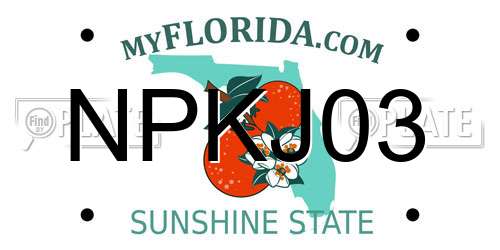 NPKJ03 Florida License Plate