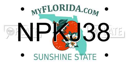 NPKJ38 Florida License Plate