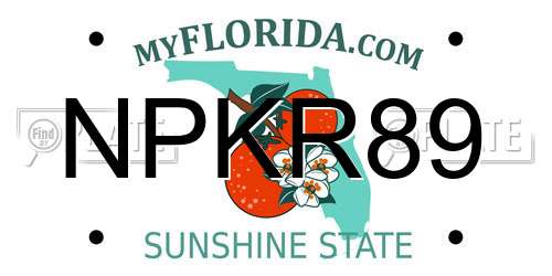NPKR89 Florida License Plate