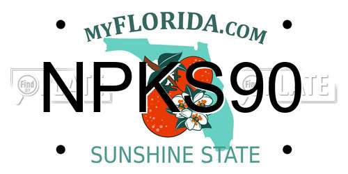 NPKS90 Florida License Plate
