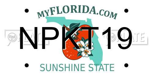 NPKT19 Florida License Plate