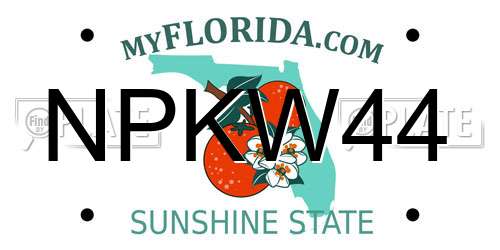 NPKW44 Florida License Plate