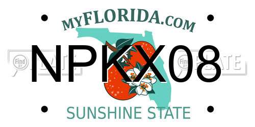NPKX08 Florida License Plate