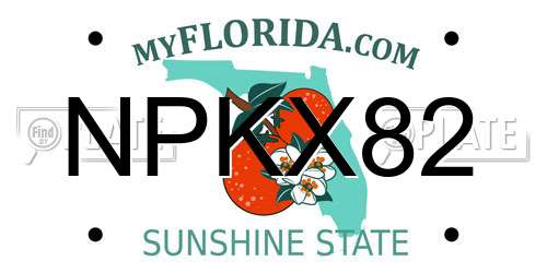 NPKX82 Florida License Plate
