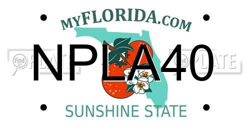 NPLA40 Florida License Plate