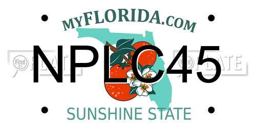 NPLC45 Florida License Plate