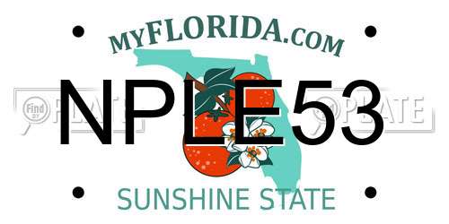 NPLE53 Florida License Plate