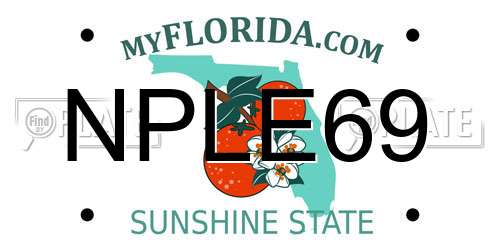 NPLE69 Florida License Plate
