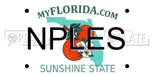 NPLES Florida License Plate