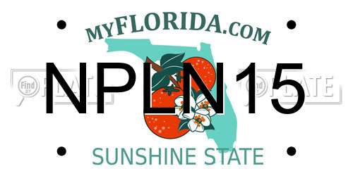 NPLN15 Florida License Plate
