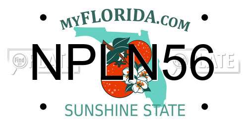 NPLN56 Florida License Plate