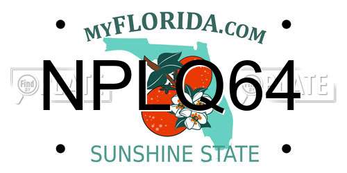 NPLQ64 Florida License Plate