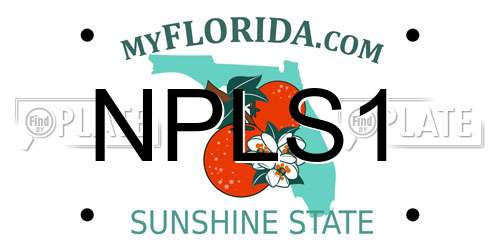 NPLS1 Florida License Plate