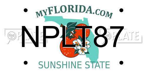 NPLT87 Florida License Plate