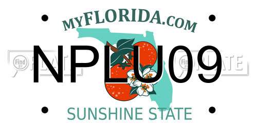 NPLU09 Florida License Plate