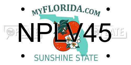 NPLV45 Florida License Plate