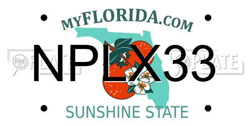 NPLX33 Florida License Plate
