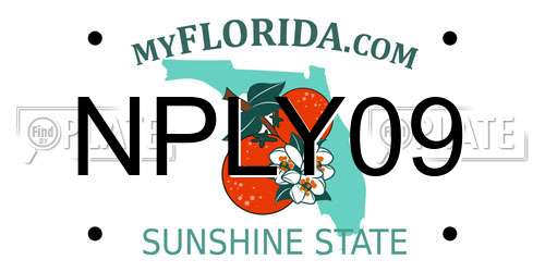 NPLY09 Florida License Plate
