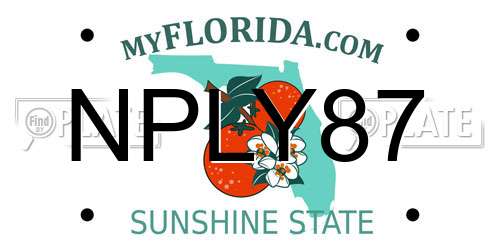 NPLY87 Florida License Plate