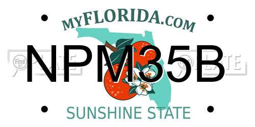 NPM35B Florida License Plate