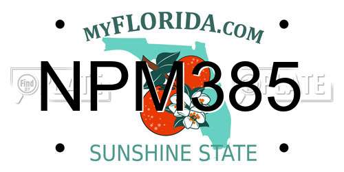 NPM385 Florida License Plate