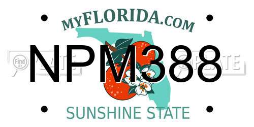 NPM388 Florida License Plate