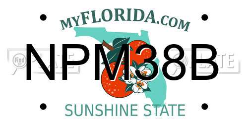 NPM38B Florida License Plate