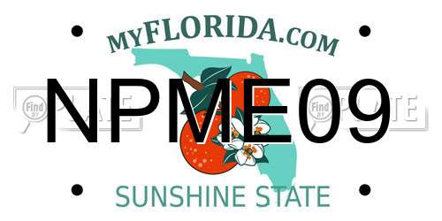 NPME09 Florida License Plate