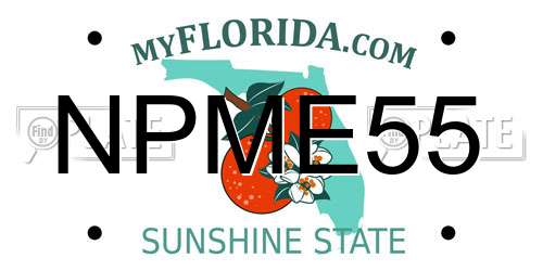 NPME55 Florida License Plate