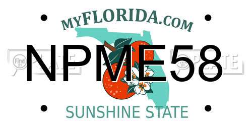 NPME58 Florida License Plate