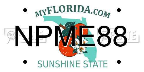 NPME88 Florida License Plate