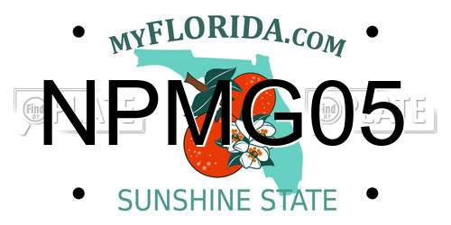 NPMG05 Florida License Plate