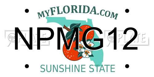 NPMG12 Florida License Plate