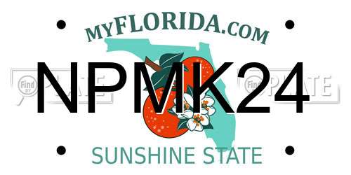 NPMK24 Florida License Plate