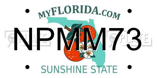 NPMM73 Florida License Plate