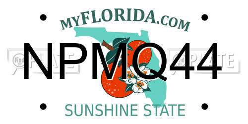 NPMQ44 Florida License Plate