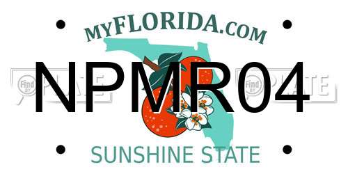 NPMR04 Florida License Plate
