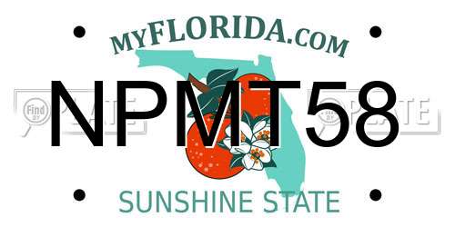NPMT58 Florida License Plate