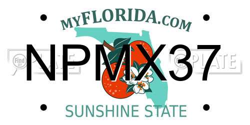 NPMX37 Florida License Plate