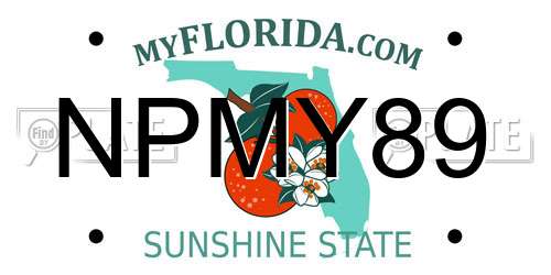 NPMY89 Florida License Plate