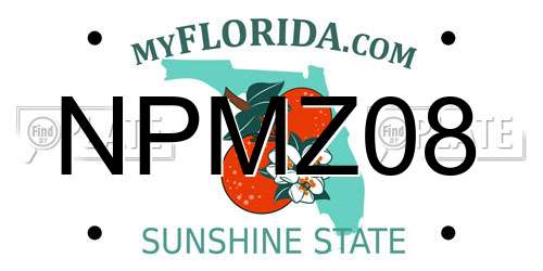 NPMZ08 Florida License Plate