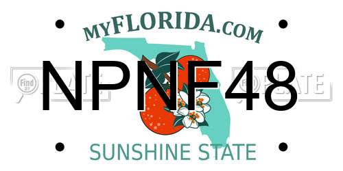 NPNF48 Florida License Plate