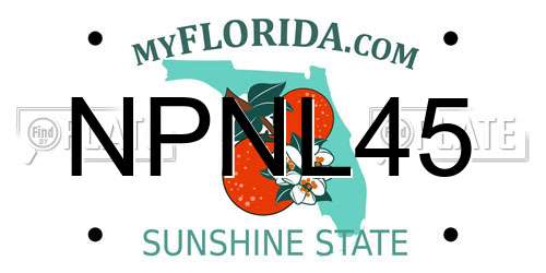 NPNL45 Florida License Plate