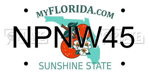 NPNW45 Florida License Plate