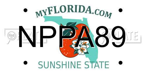 NPPA89 Florida License Plate