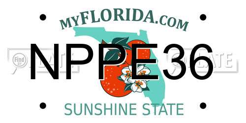NPPE36 Florida License Plate