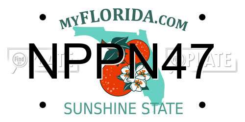 NPPN47 Florida License Plate